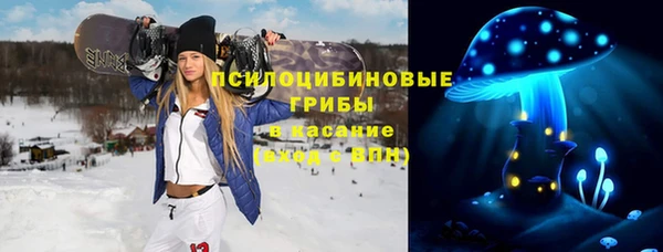 амф Аркадак