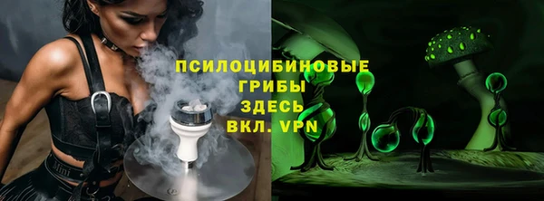 твердый Арсеньев
