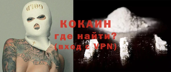 твердый Арсеньев