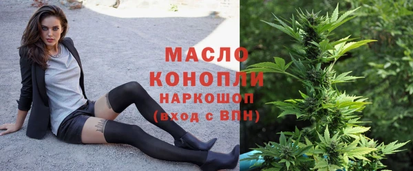 твердый Арсеньев