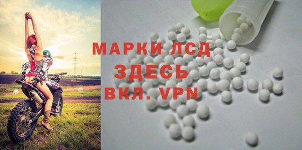 твердый Арсеньев